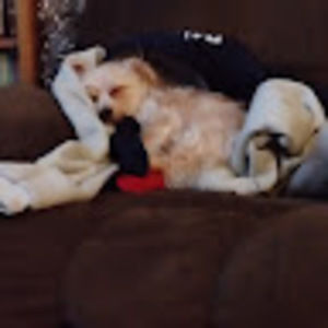 Meet your Posher, Elena